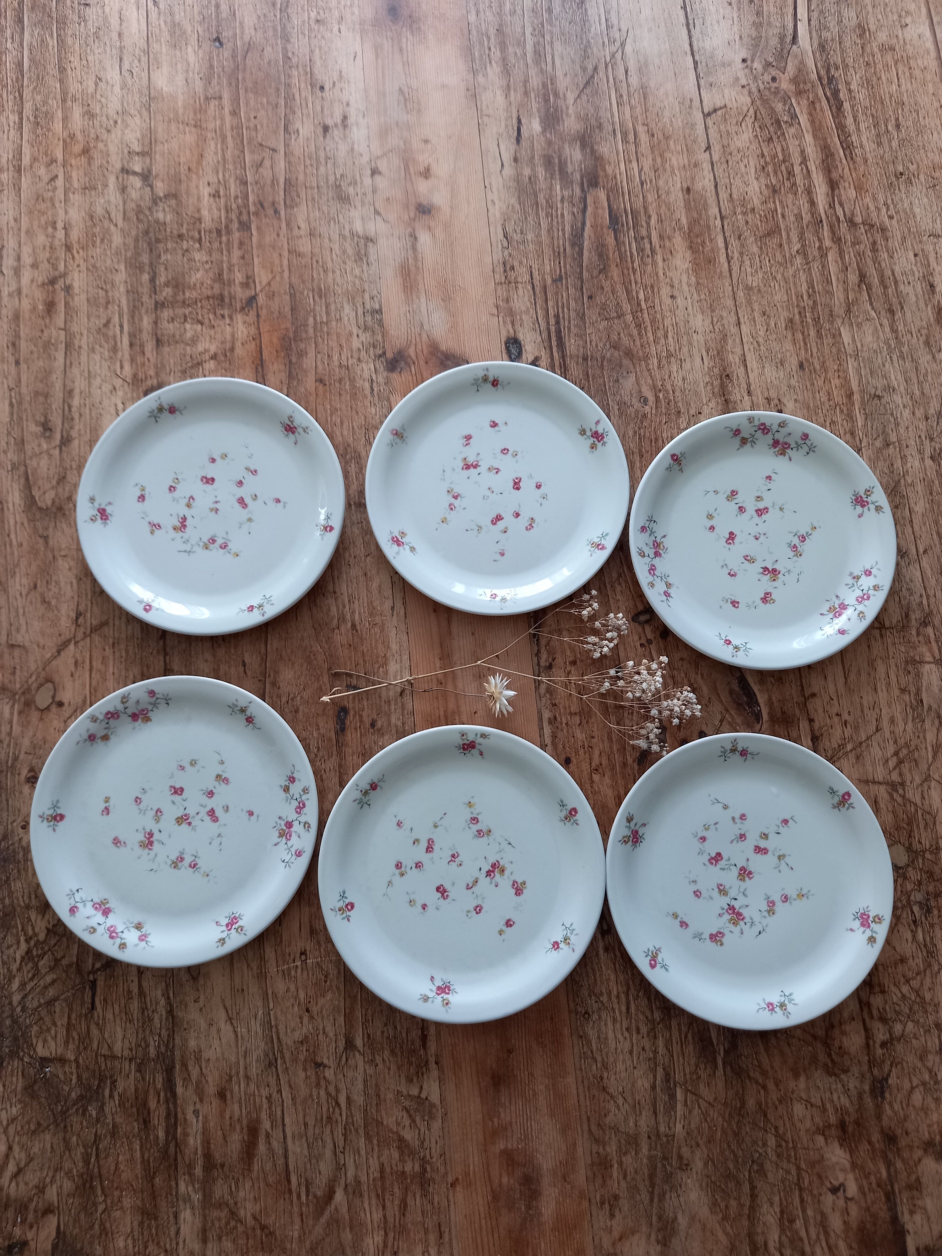 Lot de 6 assiettes à dessert