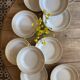 Lot of 10 vintage hollow plates - Lunéville -