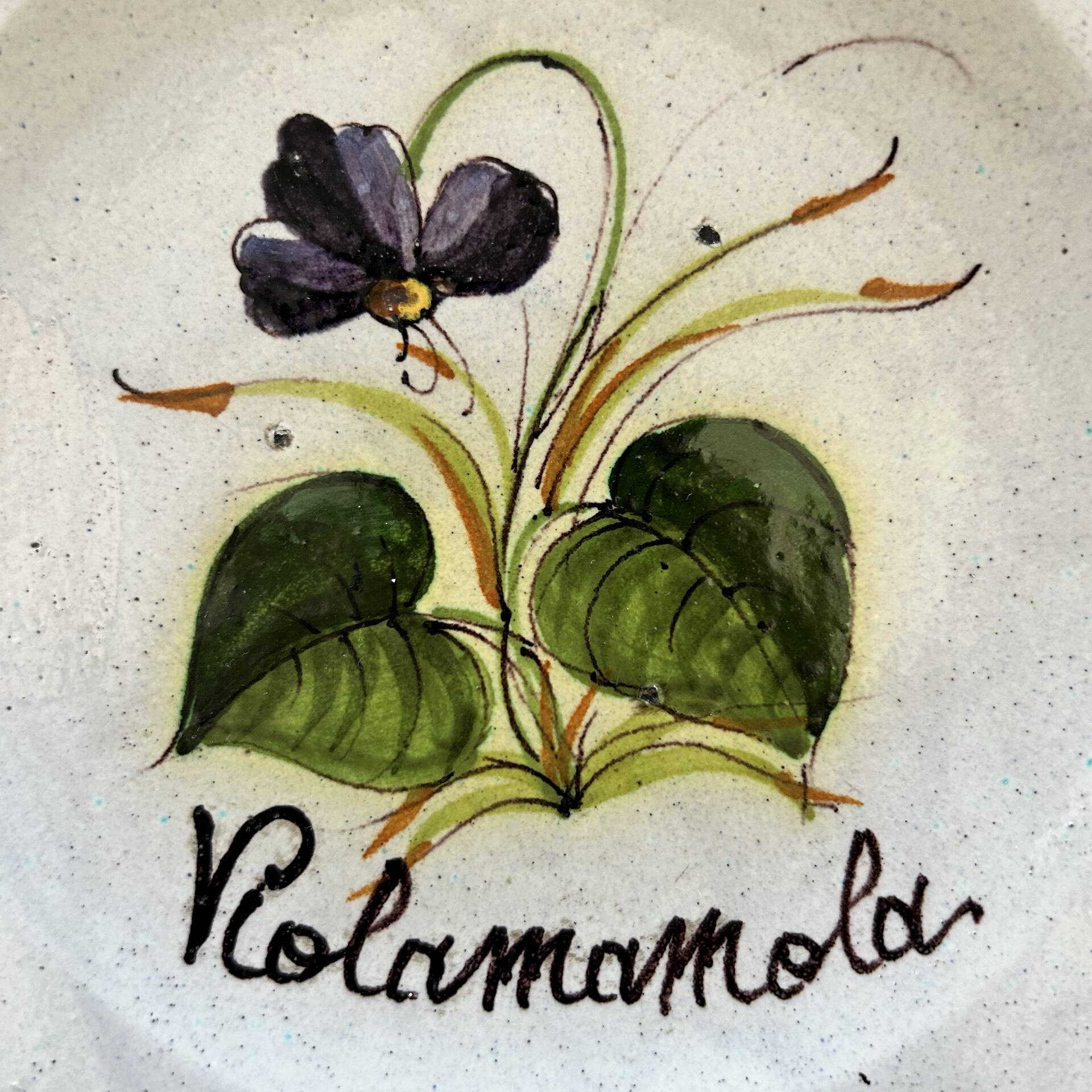 Collection of 3 botanical dishes made in Italy.