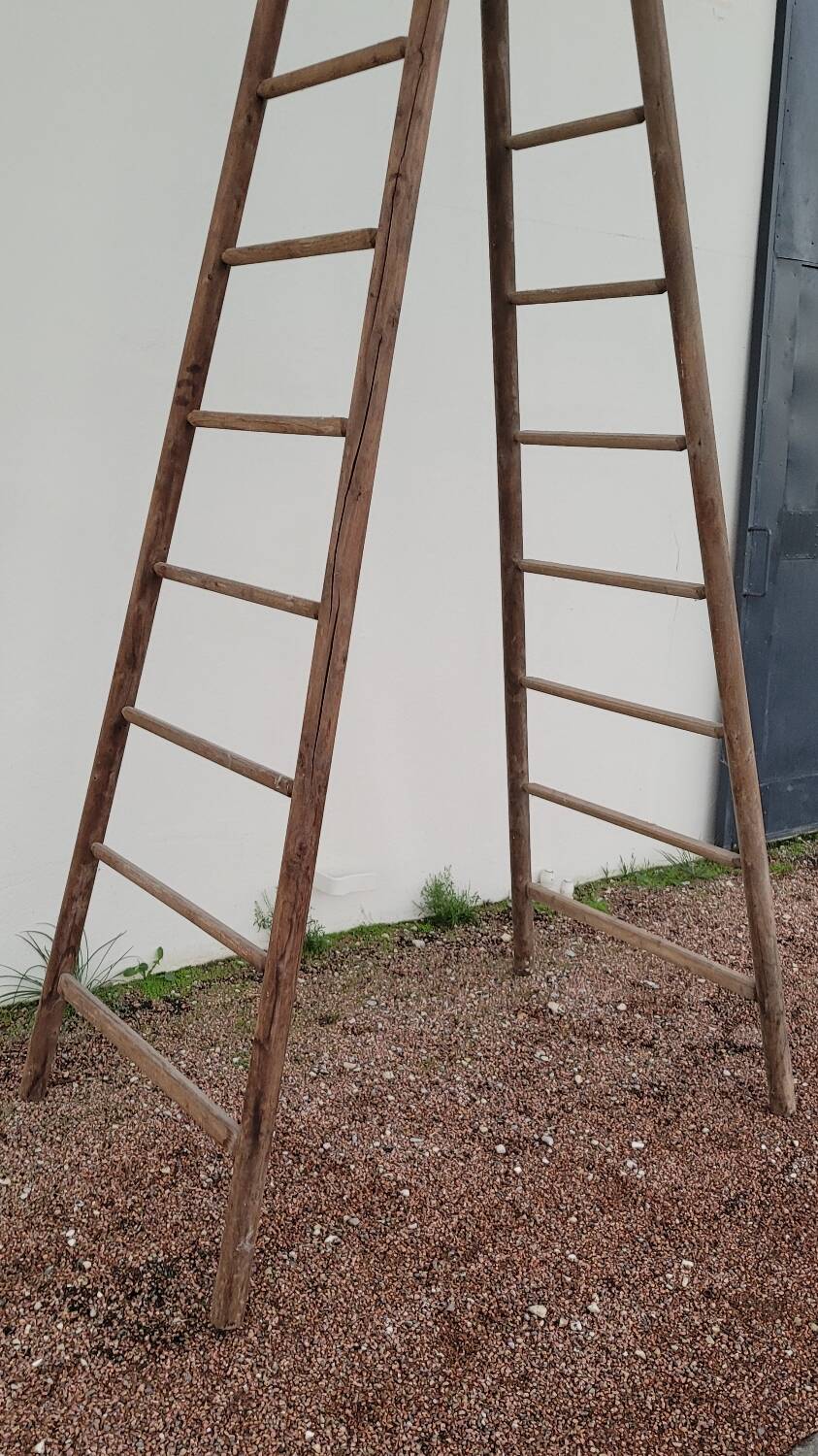 Double ladder for market gardening, fruit harvest, old wooden picking - 3m65