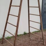 Double ladder for market gardening, fruit harvest, old wooden picking - 3m65