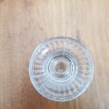 Glass cockroach