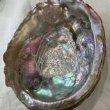 Empty shell pocket
