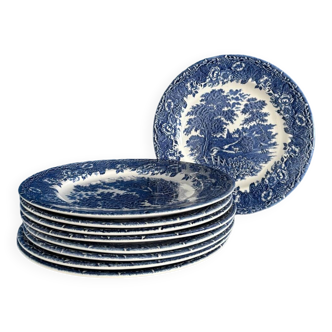 Service 9 pieces assiettes anglaise décor campagne bleu et blanc