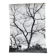 Silver gelatin photograph by Bernard Darot, Shrubs by the Water, 20th century