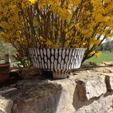 Structured concrete planter 60s-70s