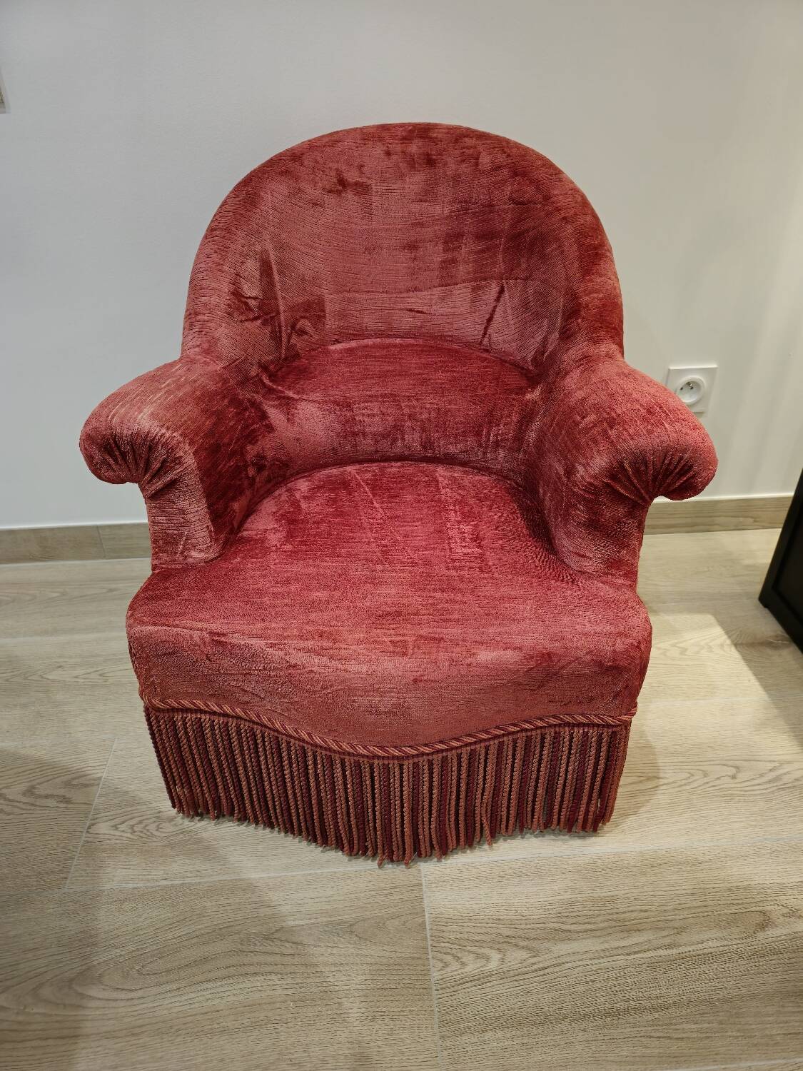 Burgundy velvet toad