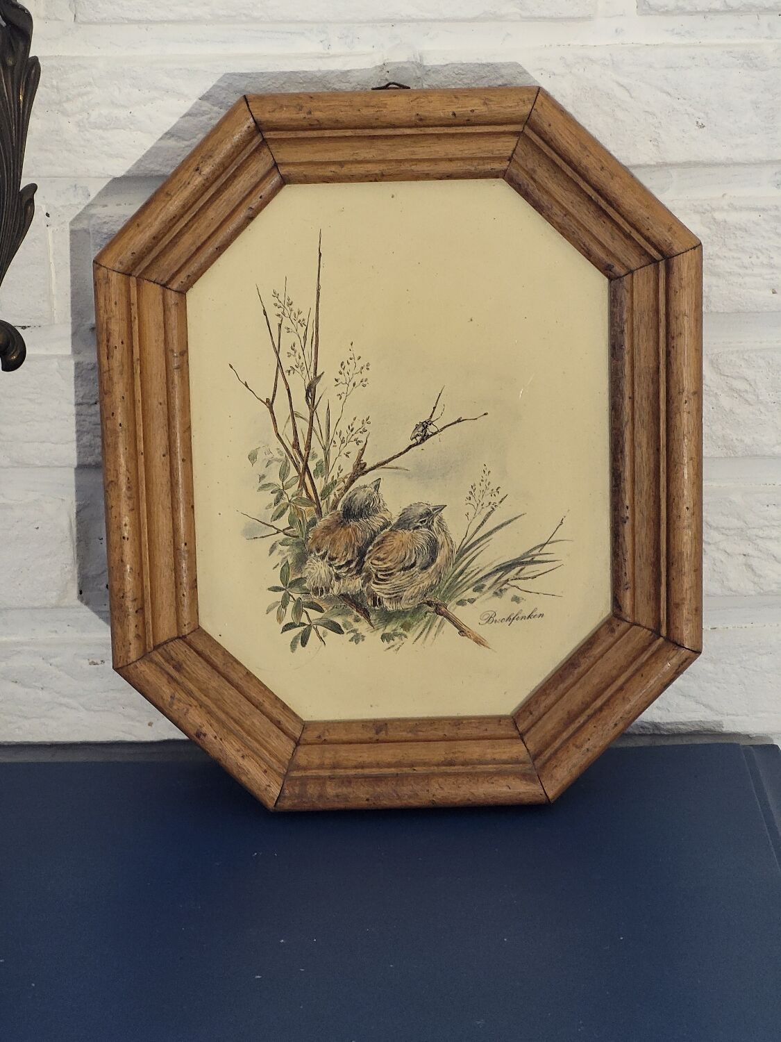 Illustration oiseaux vintage sur panneau