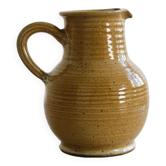 Pitcher in sandstone from the marsh.