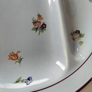 7 assiettes compartimentées Salins France