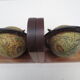Old pair of greenhouse books in solid wood and world map