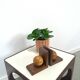 Vintage oude houten boekensteun
