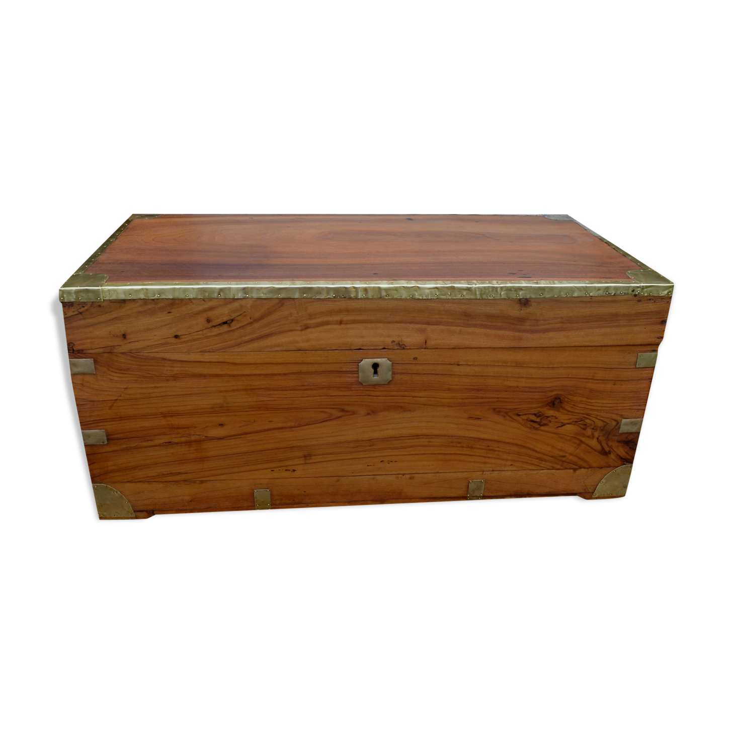 Chest in camphor tree