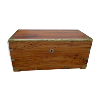Chest in camphor tree