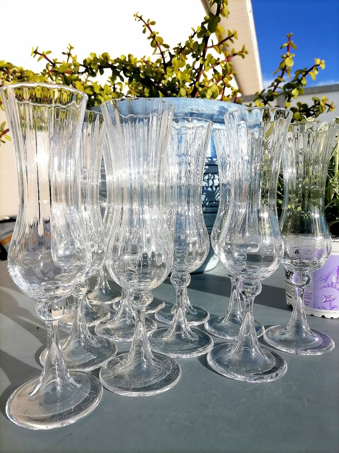 12 Daum Verona Collection champagne flutes