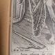 Philip Galle (1537-1612) "Lucretia" Engraving Burin