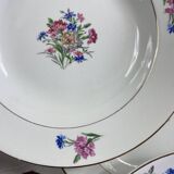 6 antique Sarreguemines earthenware soup plates, Cibon Nice pattern
