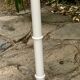 Palm lamppost by Sergio Terzani