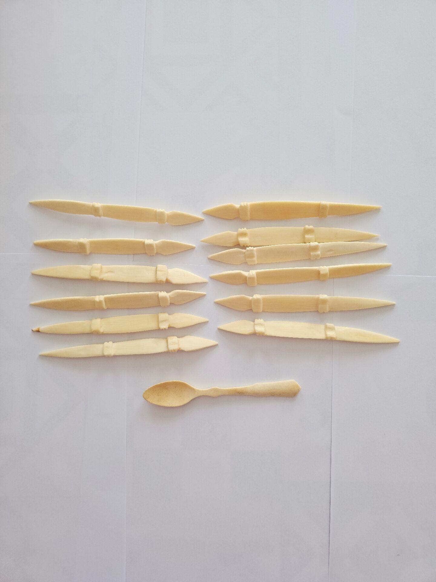 Bone knife holder