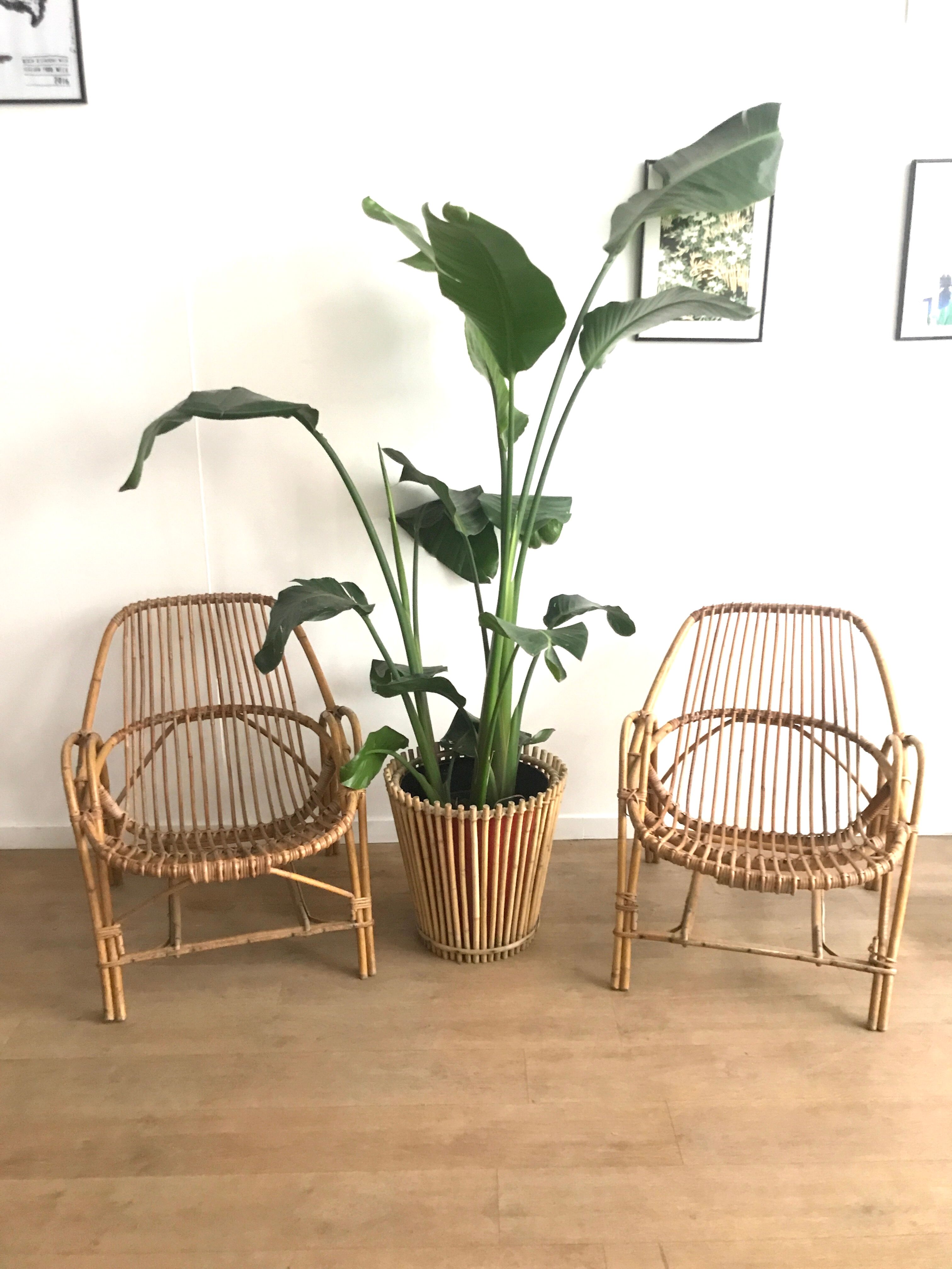Rattan armchair