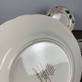 Set of 9 Villeroy & Boch "Wild Rose" dessert plates, 1970