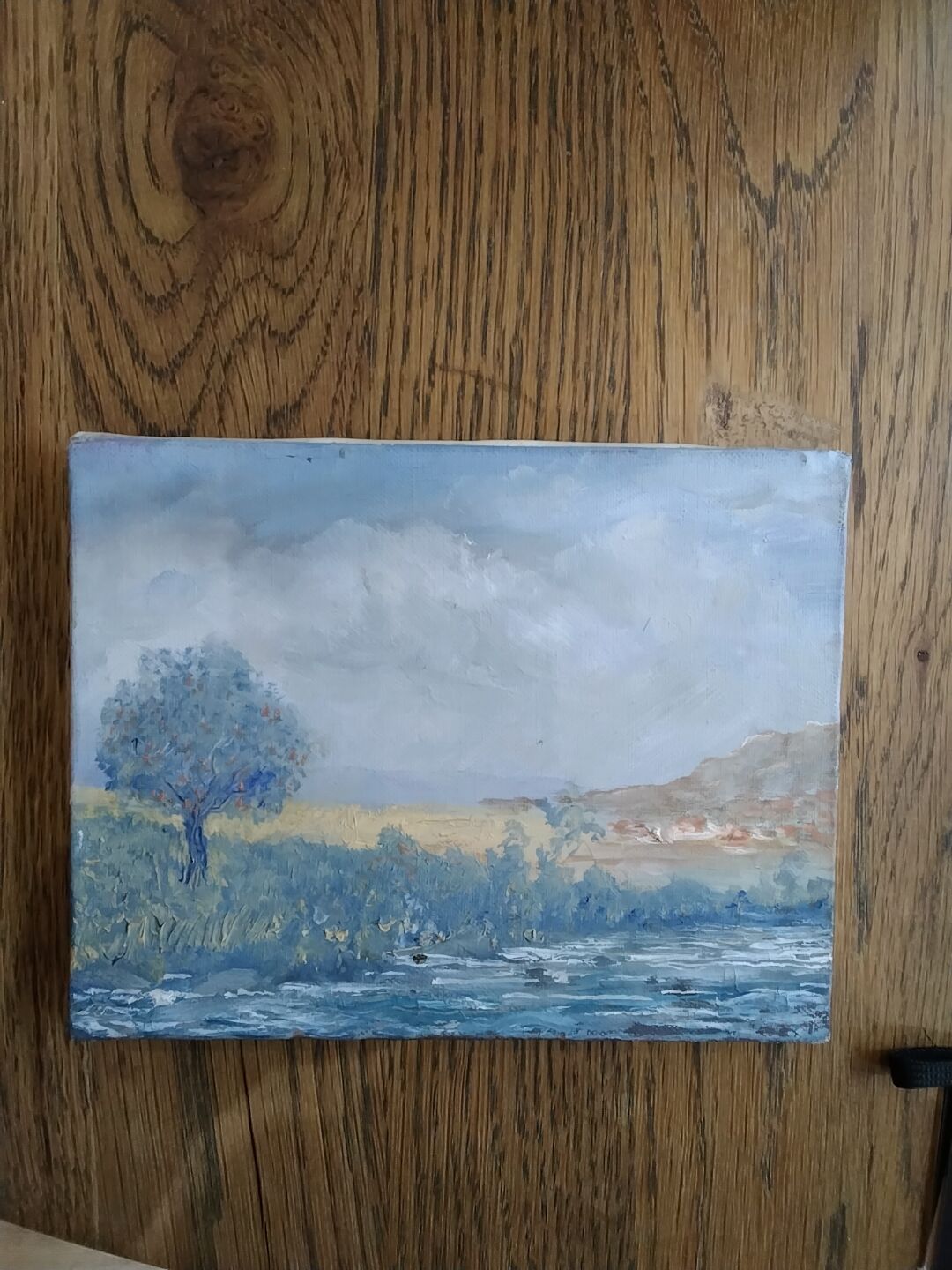 Landscape oil on canvas