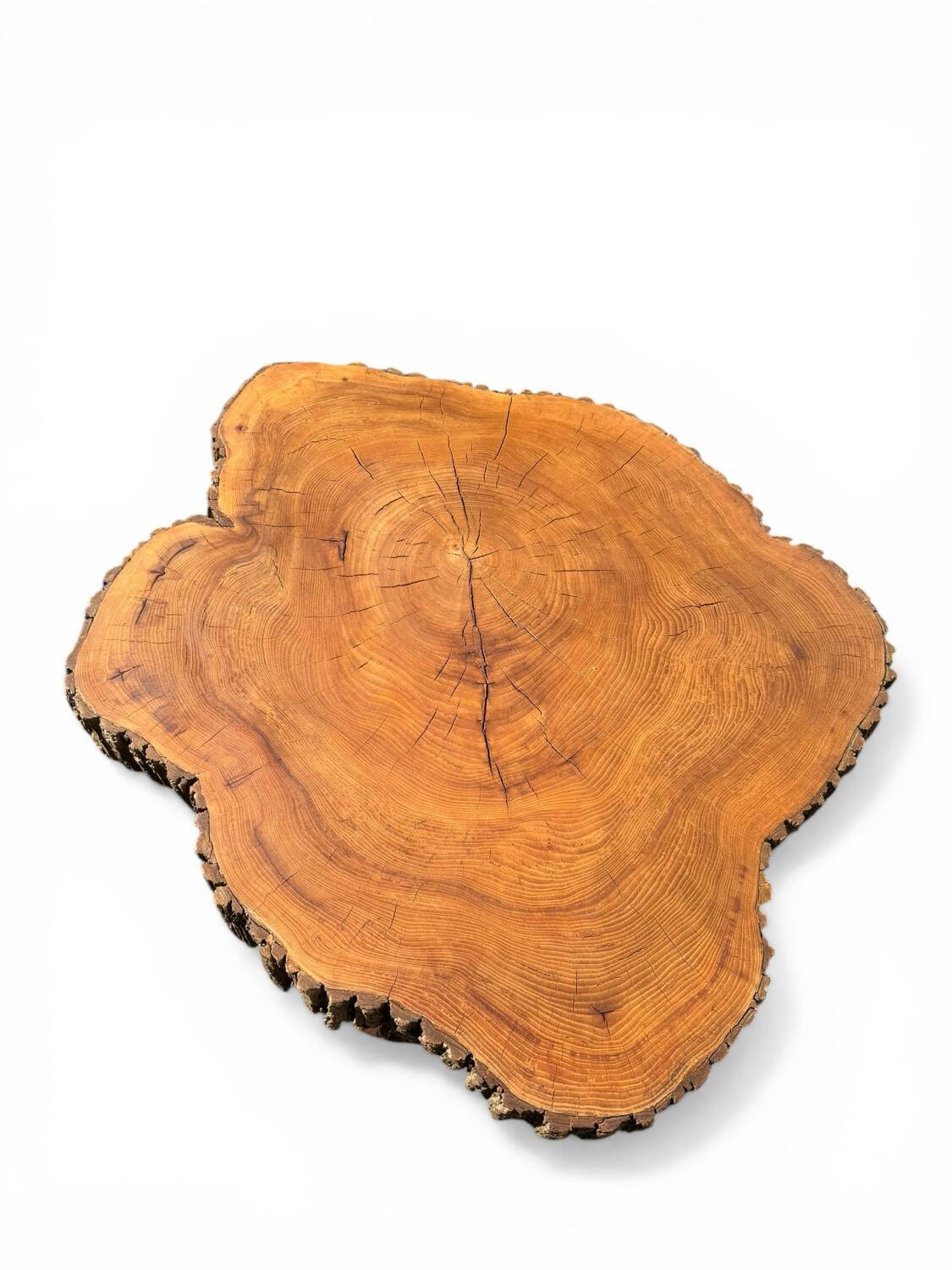 Large brutalist coffee table made from a single piece of cedar trunk, 1960.