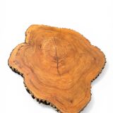 Large brutalist coffee table made from a single piece of cedar trunk, 1960.