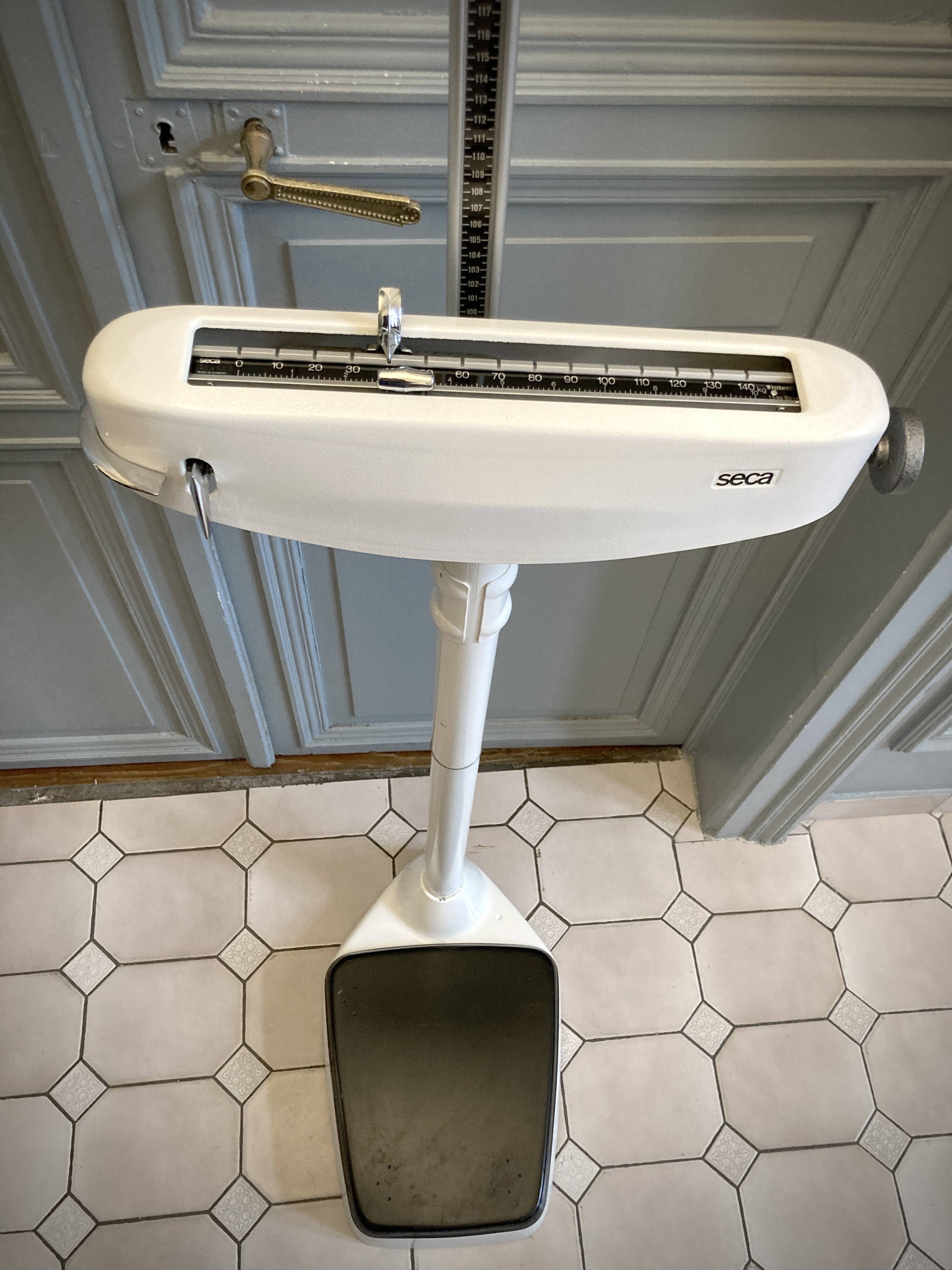 Personal scale and medicine measuring rod