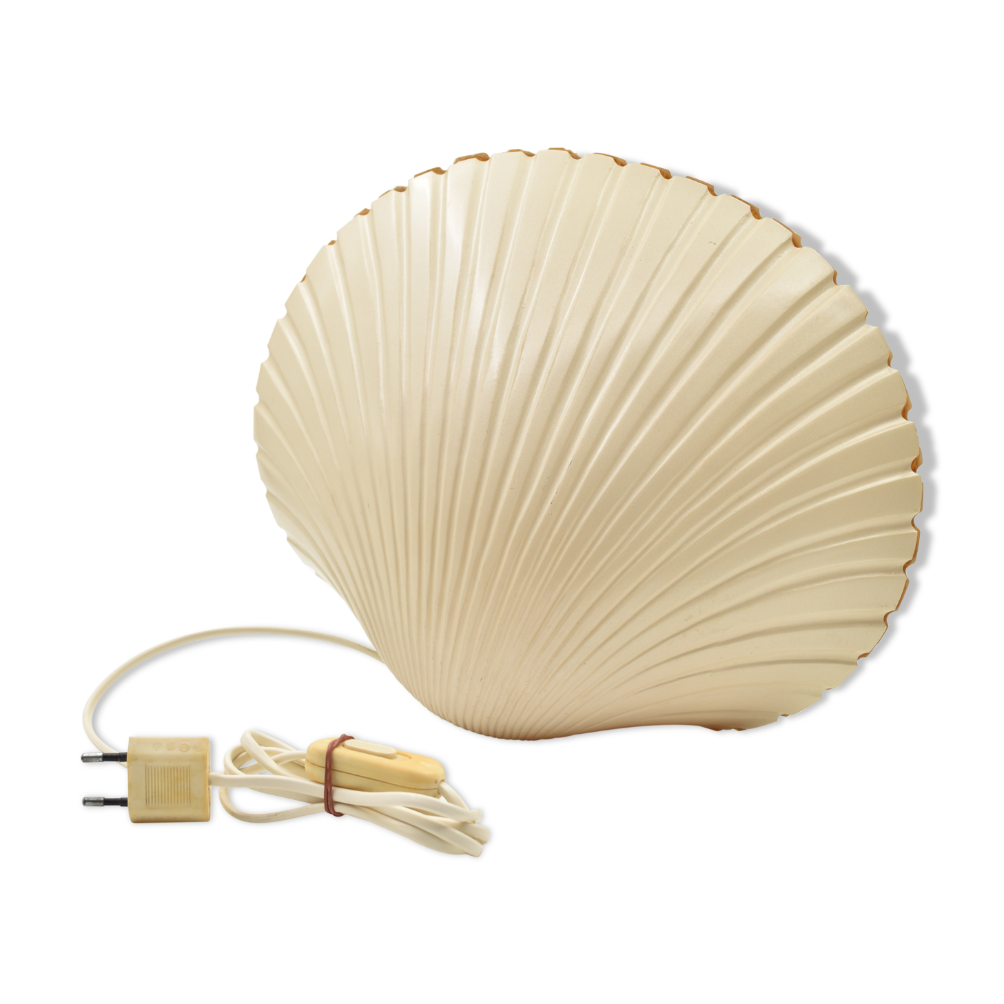 Lamp shell Saint Jacques fiber