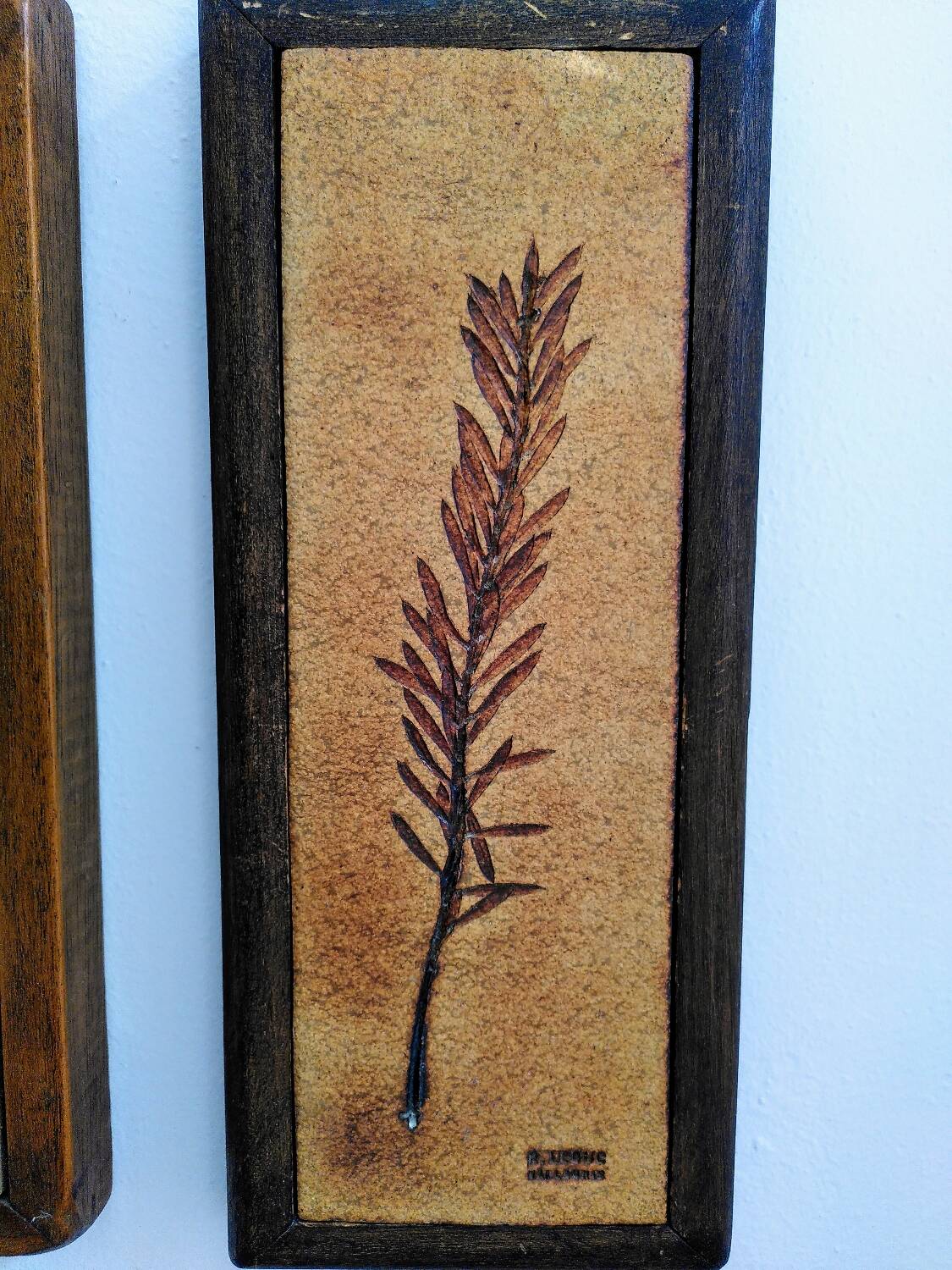 Vallauris herbarium triptych, R.Leduc