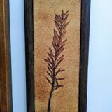 Vallauris herbarium triptych, R.Leduc