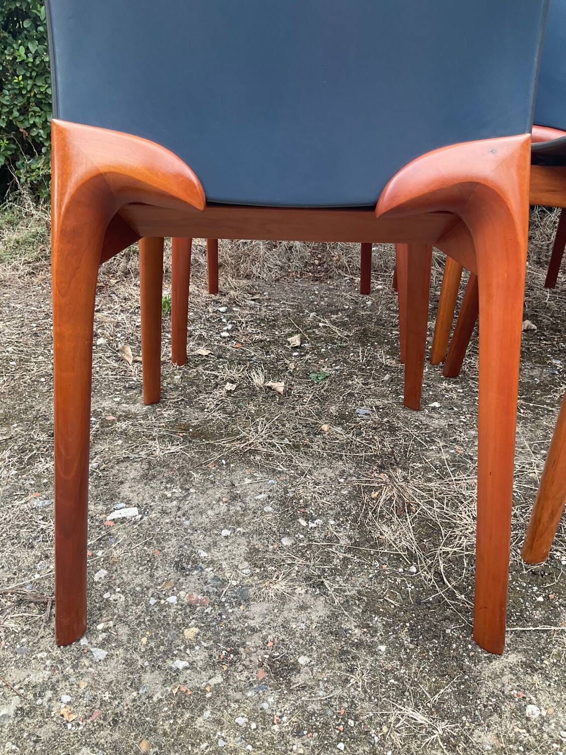 Série de 6 chaises Cassina par Josep Llusca