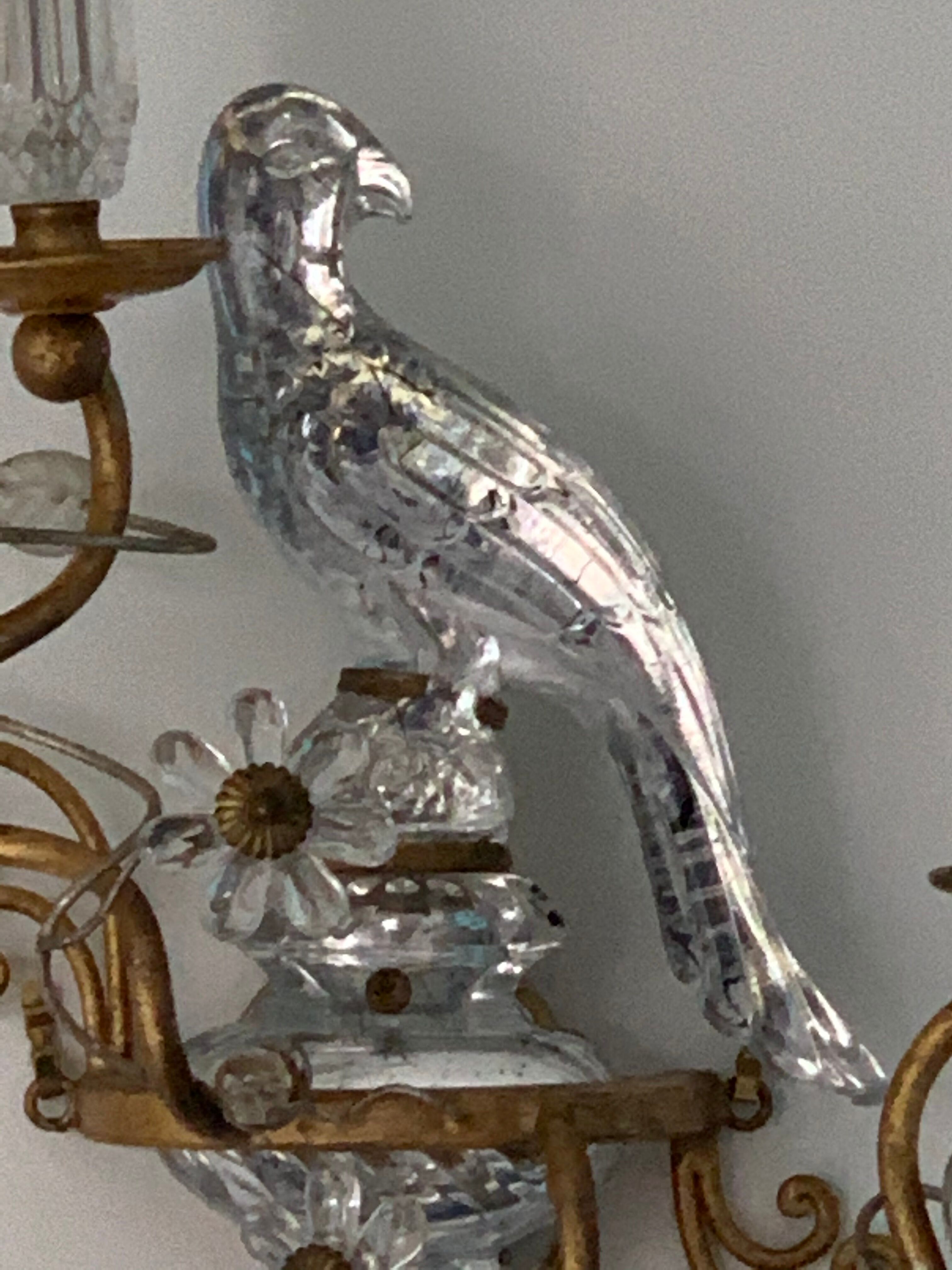 Pair of parrot crystal or parakeet wall sconces Maison Baguès 1950