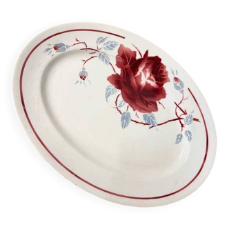 Mira k&g lunéville dish