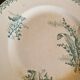Set of 5 Saint Amandinoise Muguet Plates