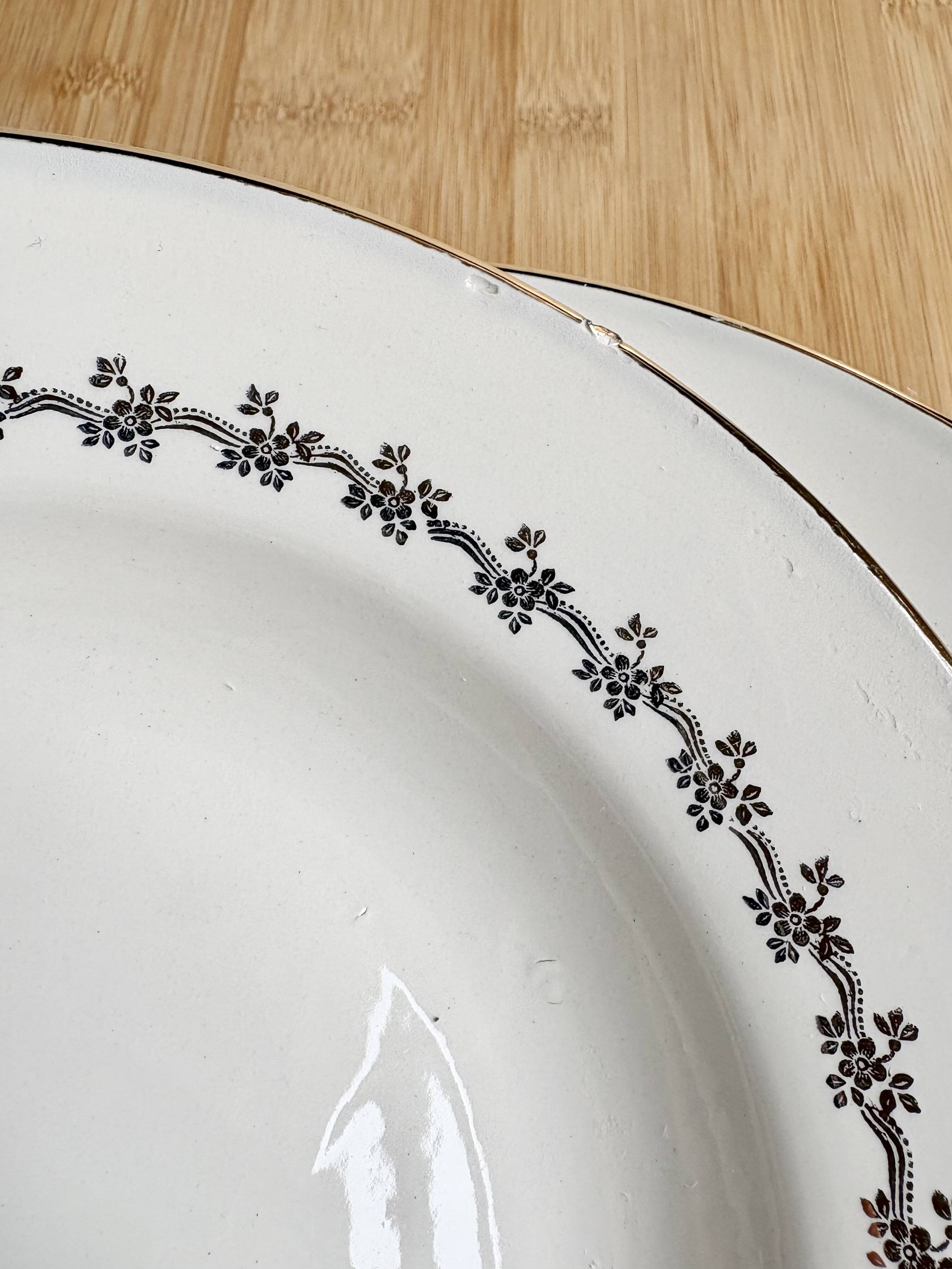 8 Digoin Sarreguemines plates