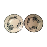 Lot of 2 iron earth plates st Amand model acacia
