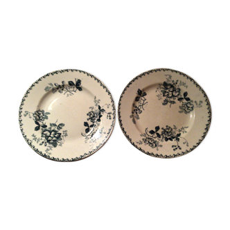 Lot of 2 iron earth plates st Amand model acacia