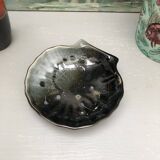 artisanal shell cup
