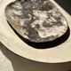 Very large pocket or dish in petrified wood