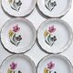 Lot 6 flat plates Digoin Sarreguemines