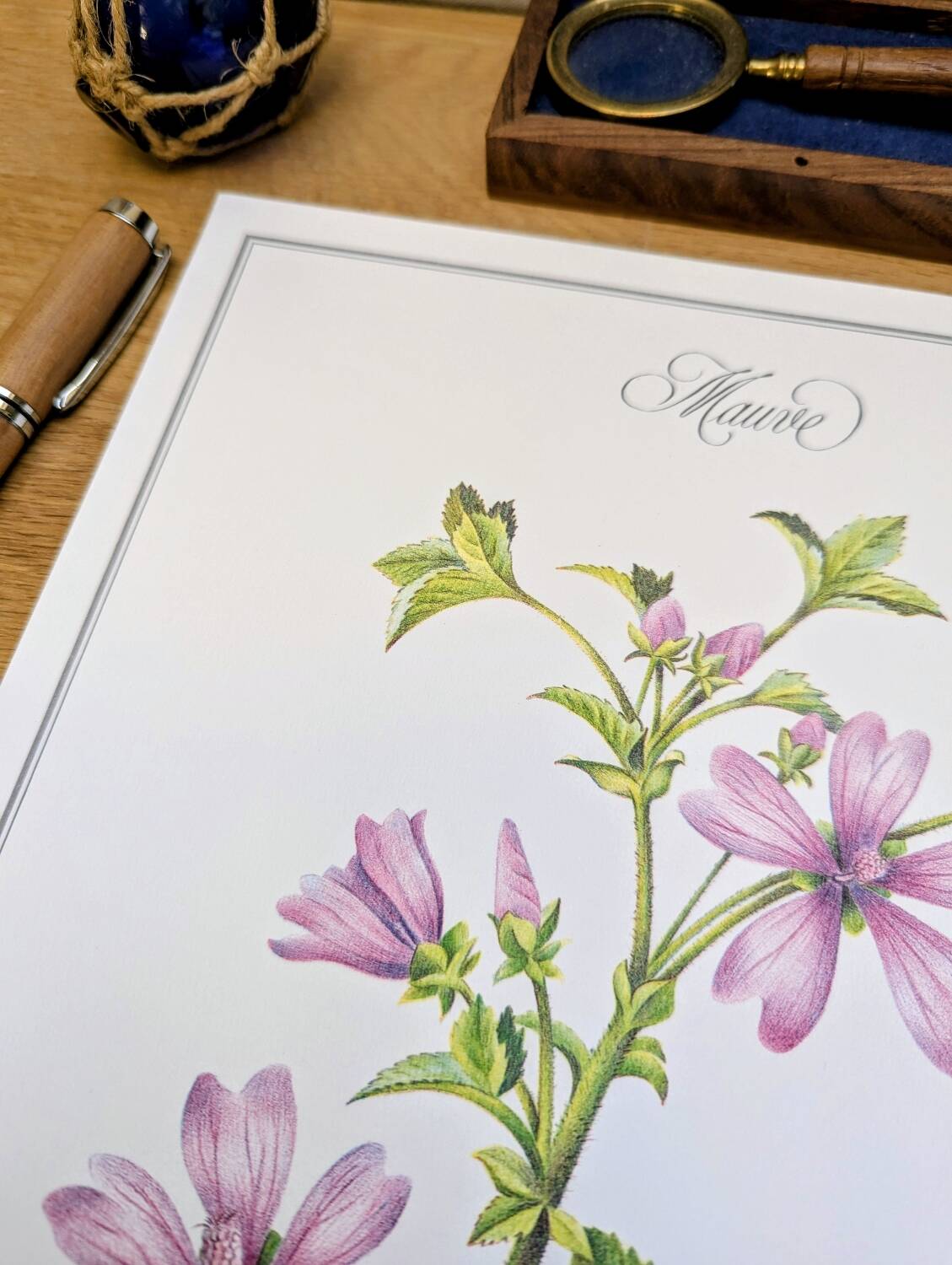 Printed in 1986, the Mauve. Vintage Botany.