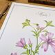 Printed in 1986, the Mauve. Vintage Botany.