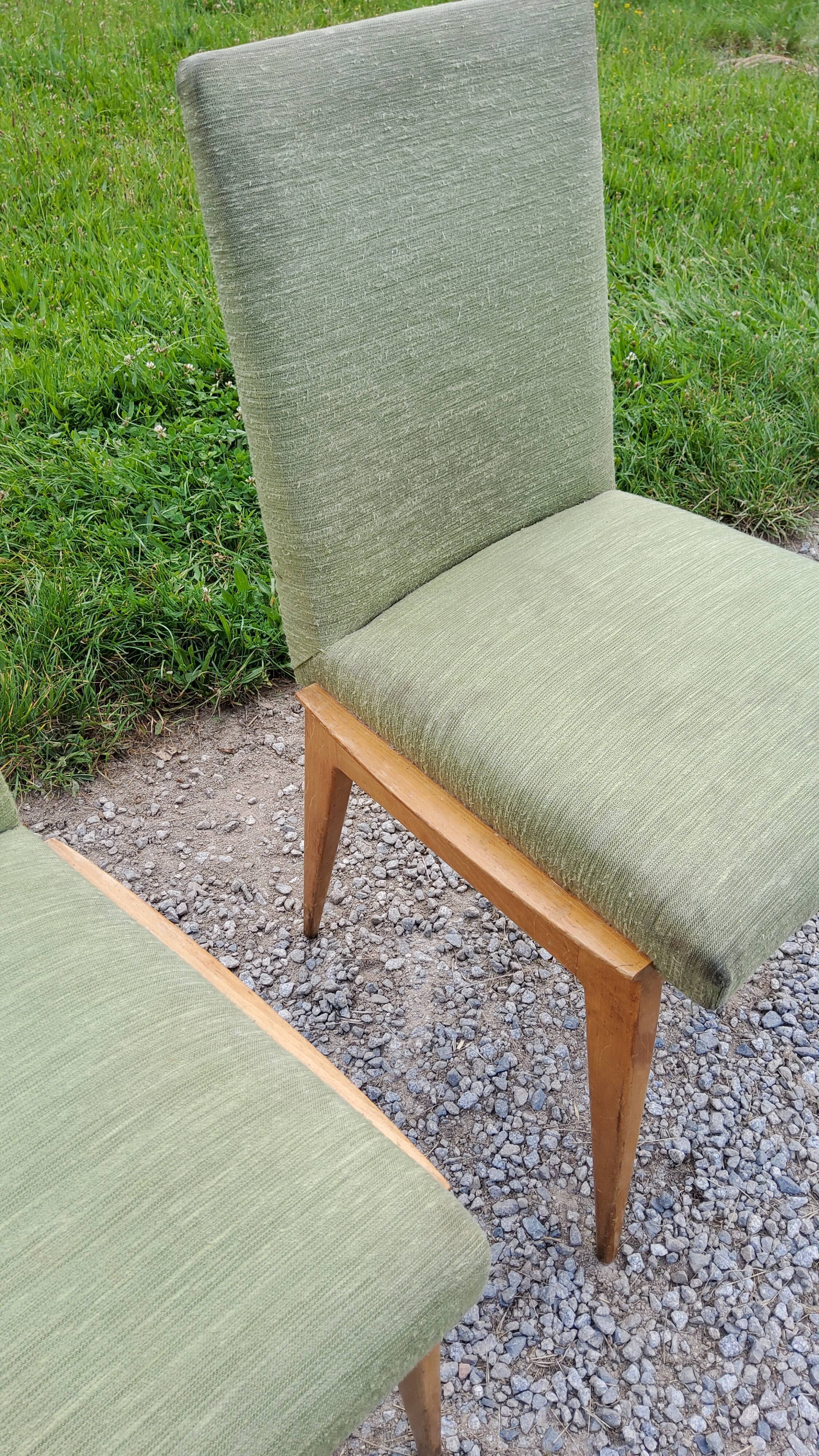 Pair of chairs from the 50s in sycamore tinted beech