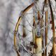 Chandelier pendants