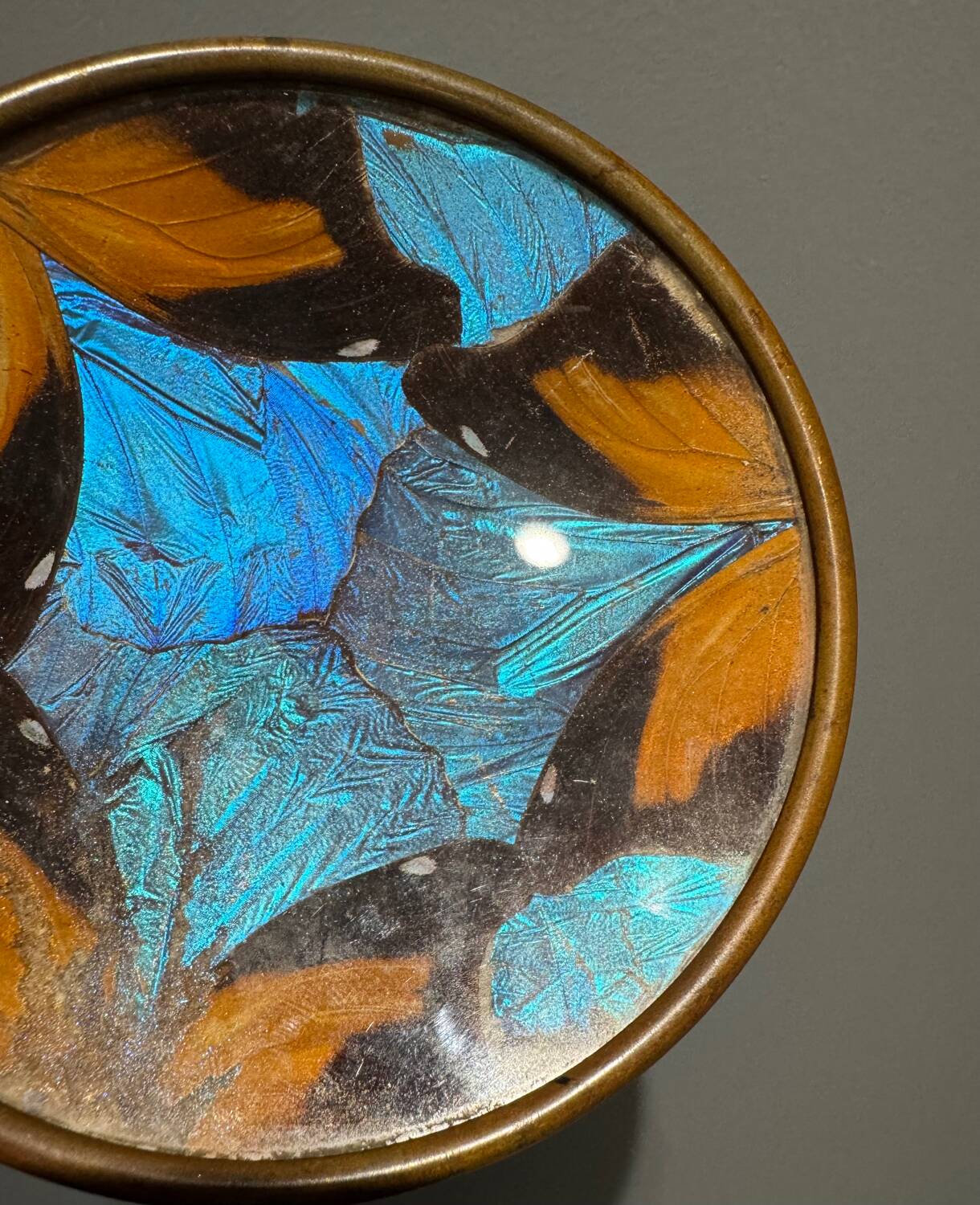 Art Deco butterfly wings catch-all Billère