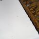 Old rectangular oak leaf mirror in gilded metal Spain 60 70