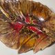 Coupe feuille Vallauris