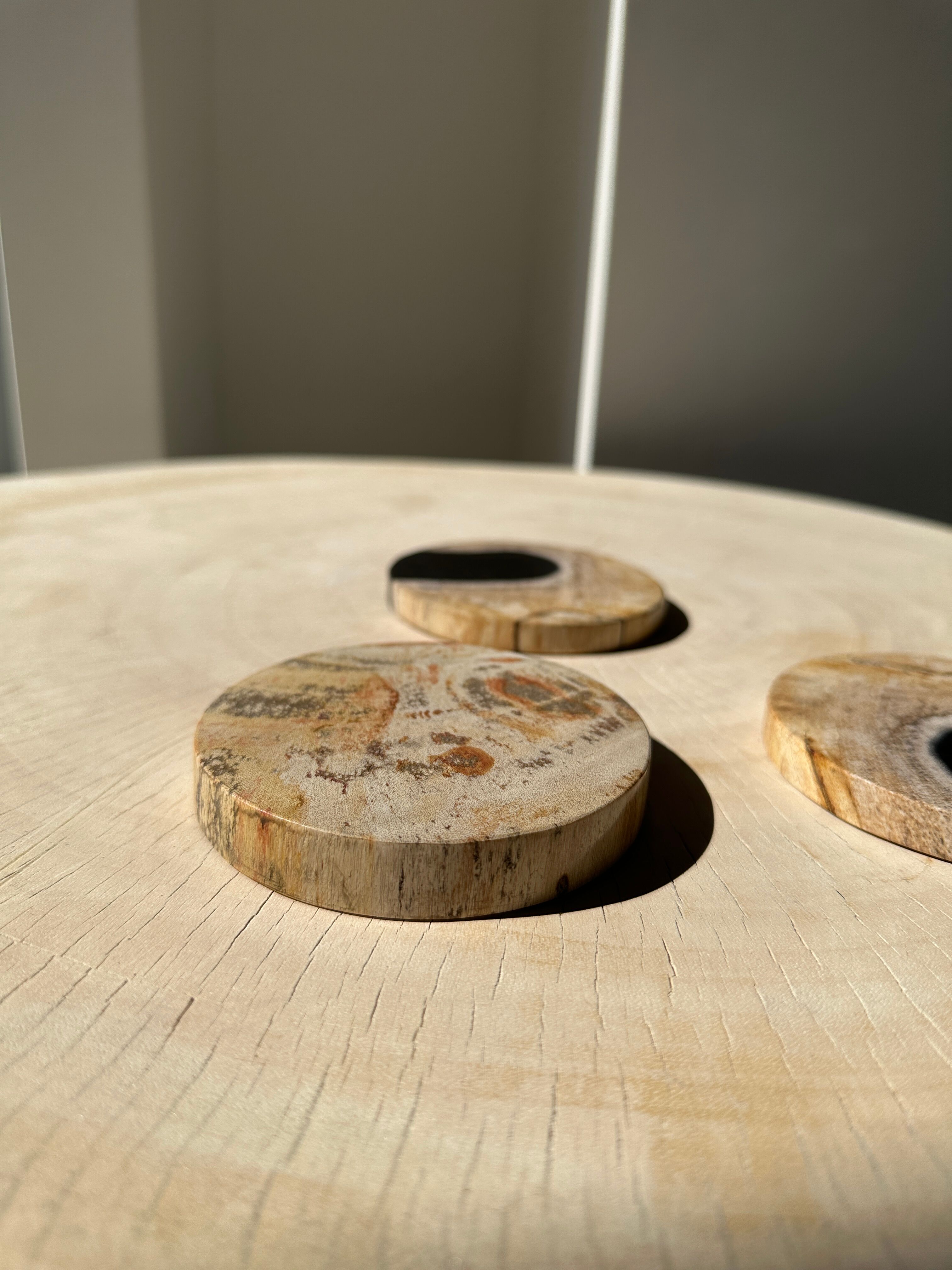 Set of 3 fossilized wooden coasters (clear)